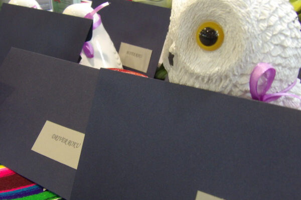 KODAK Digital Still Camera