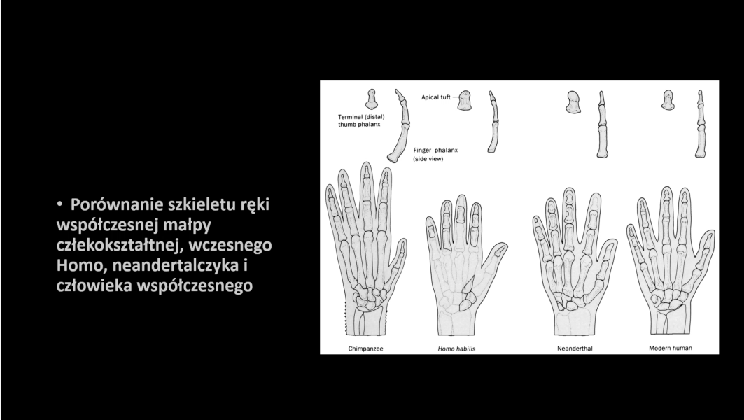 Kolejne spotkanie Instytutu Kreatywnej Biologii z udziałem uczniów I LO w Opocznie