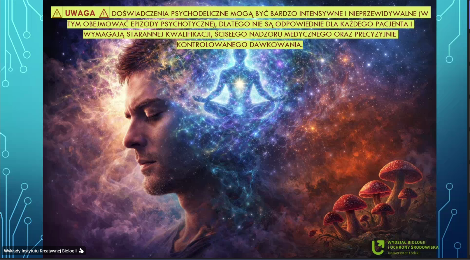 Instytut Kreatywnej Biologii – Klucz do neuroplastyczności