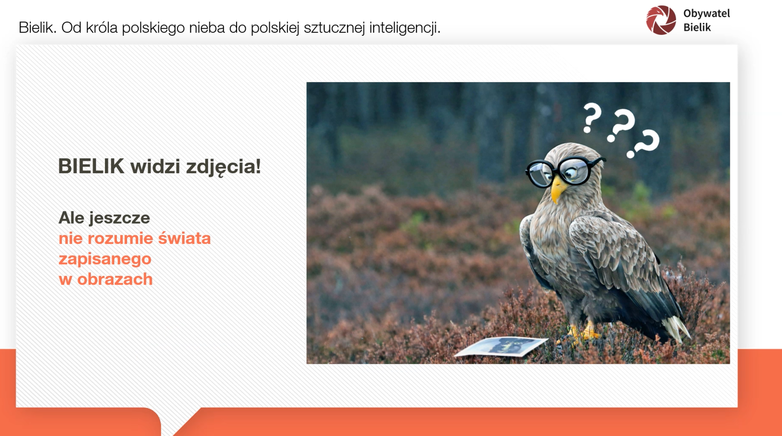 Instytut Kreatywnej Biologii – „Bielik – od króla polskiego nieba do polskiej sztucznej inteligencji”