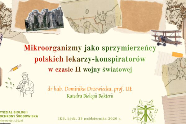 ikb 1
